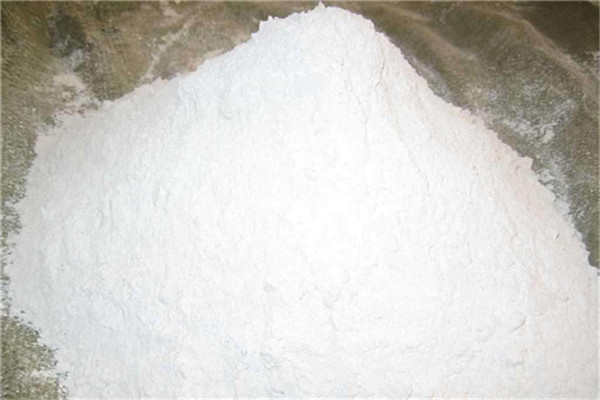 如何消灭菜地里的蜗牛?石灰粉或许可以帮到您